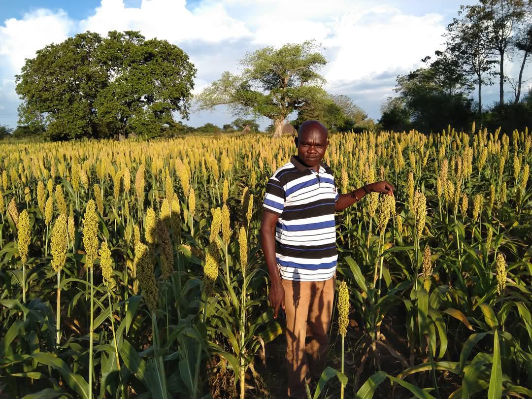 Farmer Partners - Local farmers working with Allanic Millers