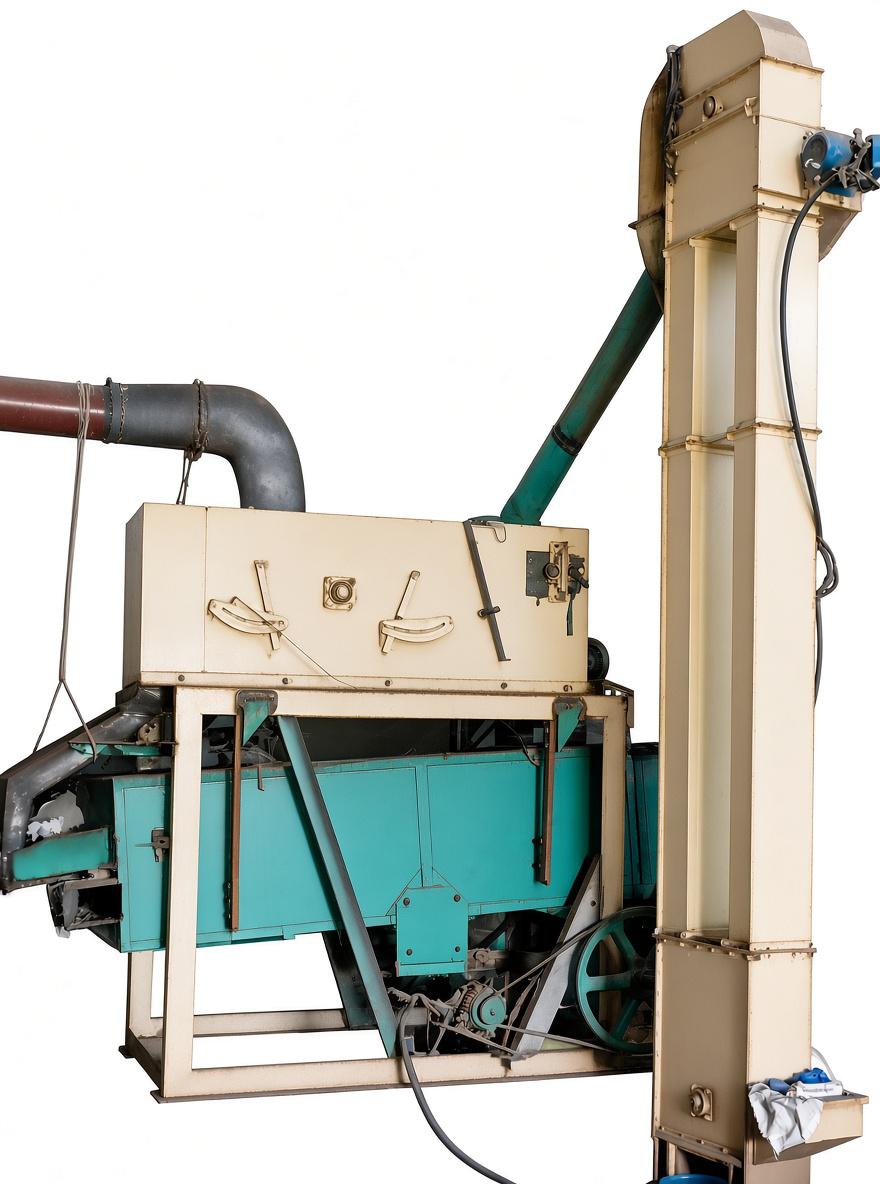 Grain Cleaning Service