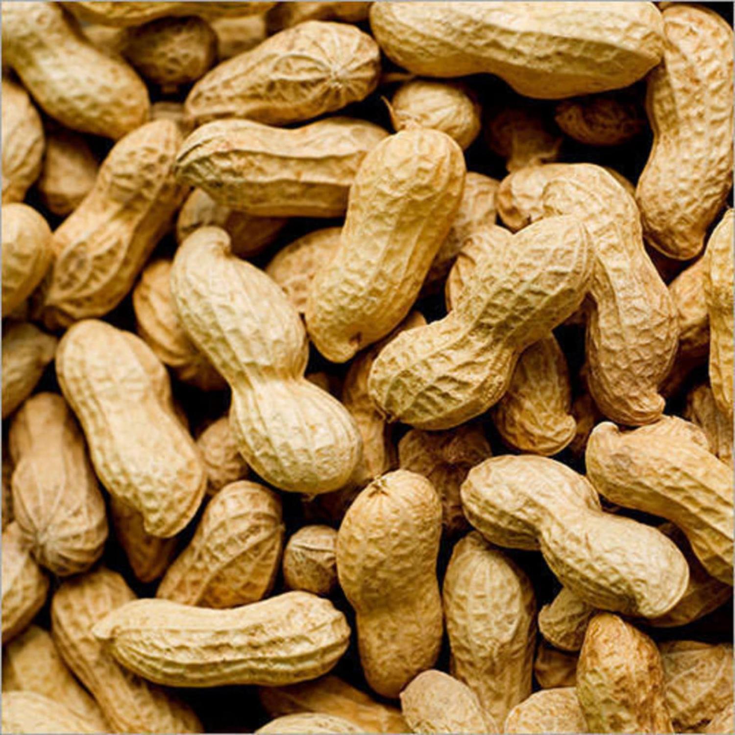 Groundnuts