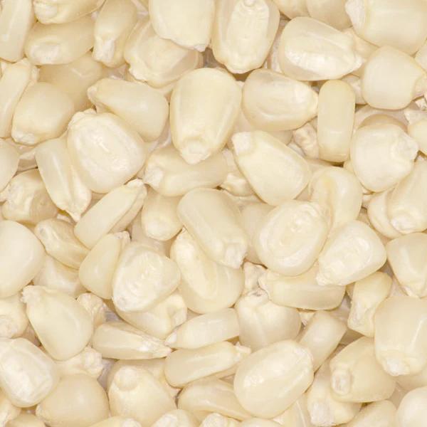 Maize