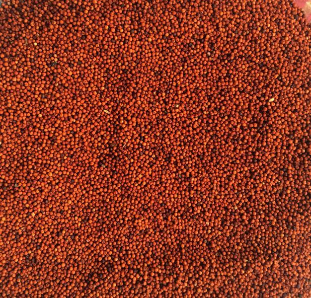 Millet